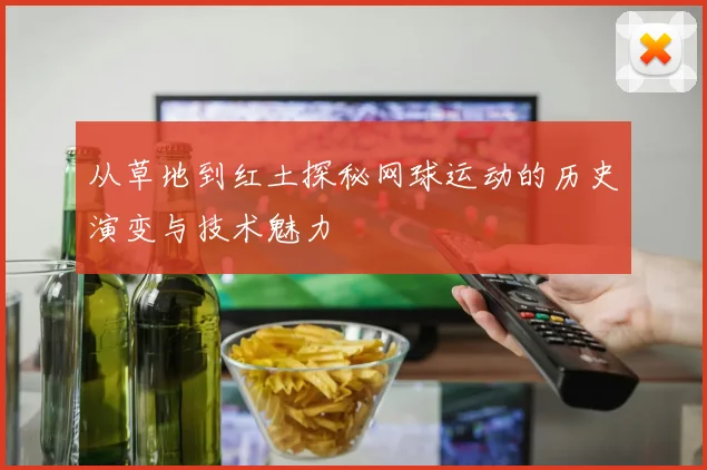 从草地到红土探秘网球运动的历史演变与技术魅力