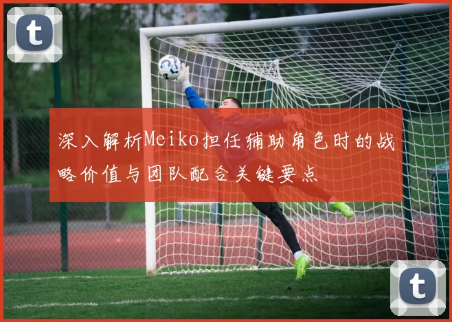 深入解析Meiko担任辅助角色时的战略价值与团队配合关键要点