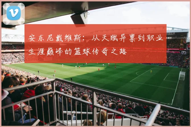 安东尼戴维斯：从天赋异禀到职业生涯巅峰的篮球传奇之路