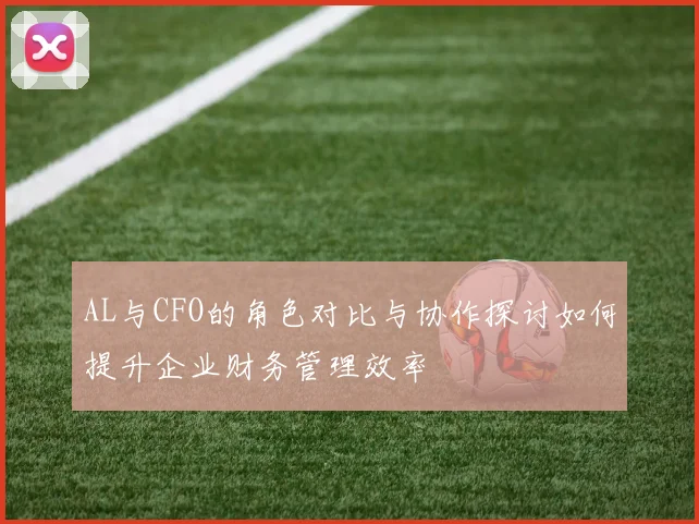 AL与CFO的角色对比与协作探讨如何提升企业财务管理效率