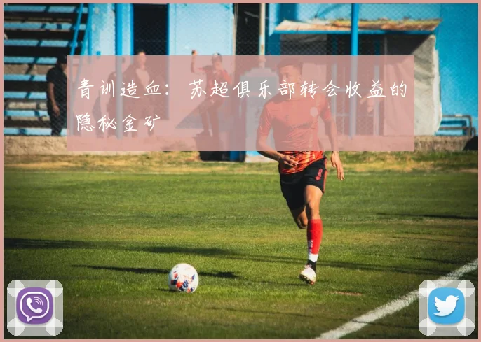青训造血：苏超俱乐部转会收益的隐秘金矿