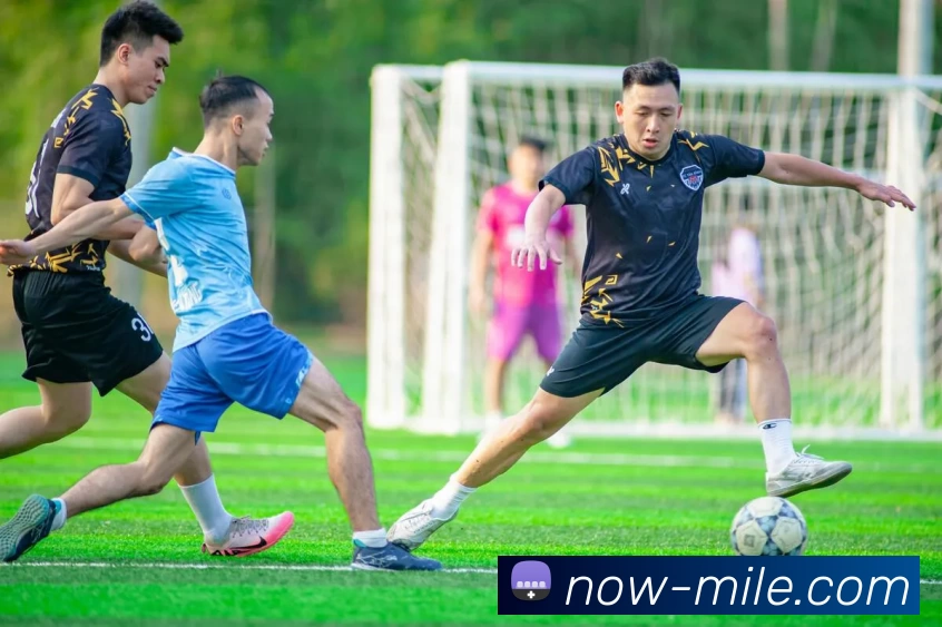 米乐M12服务体系